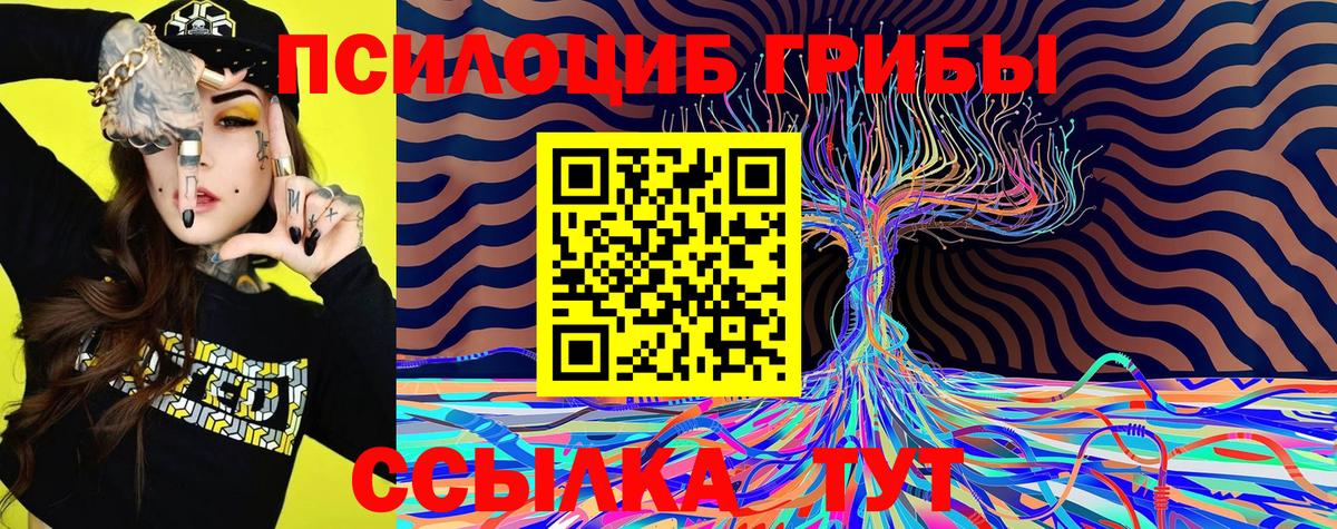 Галлюциногенные грибы MAGIC MUSHROOMS  Псилоцибиновые грибы MAGIC MUSHROOMS  Черкесск  Вход с VPN 