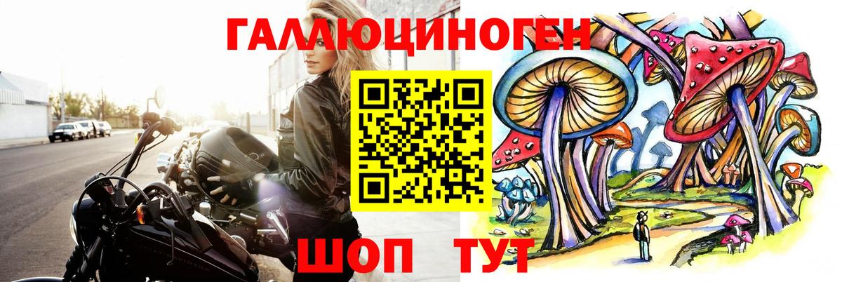 Галлюциногенные грибы прущие грибы Черкесск